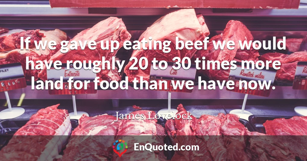 If we gave up eating beef we would have roughly 20 to 30 times more land for food than we have now.