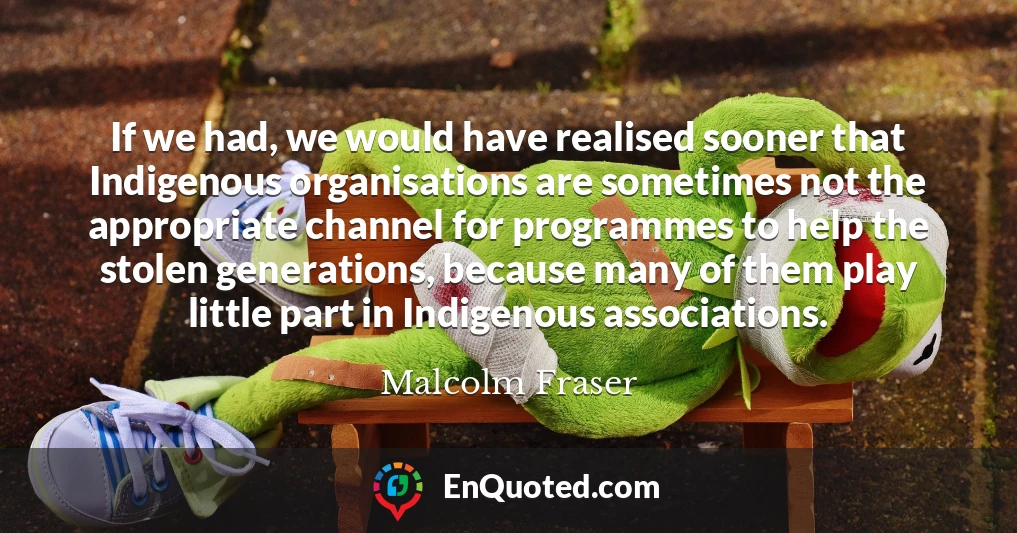 If we had, we would have realised sooner that Indigenous organisations are sometimes not the appropriate channel for programmes to help the stolen generations, because many of them play little part in Indigenous associations.