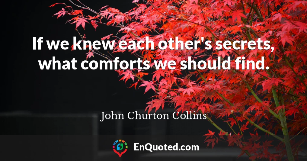 If we knew each other's secrets, what comforts we should find.