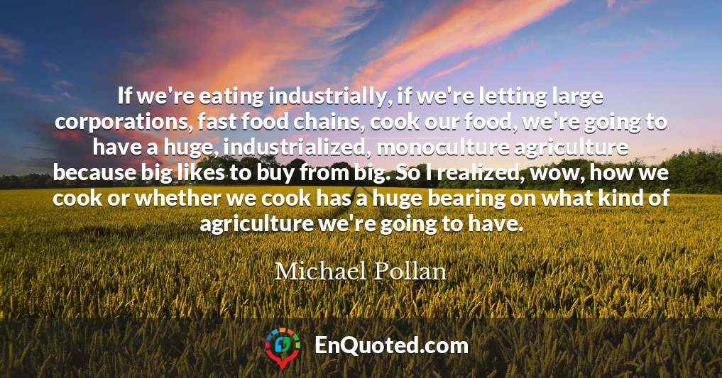If we're eating industrially, if we're letting large corporations, fast food chains, cook our food, we're going to have a huge, industrialized, monoculture agriculture because big likes to buy from big. So I realized, wow, how we cook or whether we cook has a huge bearing on what kind of agriculture we're going to have.