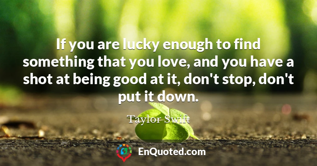 If you are lucky enough to find something that you love, and you have a shot at being good at it, don't stop, don't put it down.