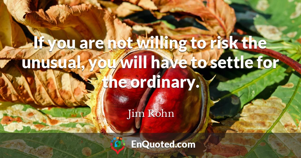 If you are not willing to risk the unusual, you will have to settle for the ordinary.