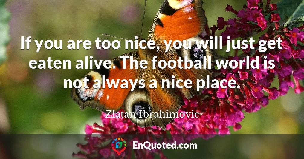 If you are too nice, you will just get eaten alive. The football world is not always a nice place.
