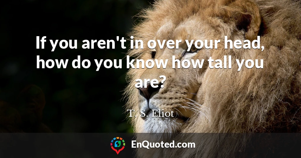 If you aren't in over your head, how do you know how tall you are?