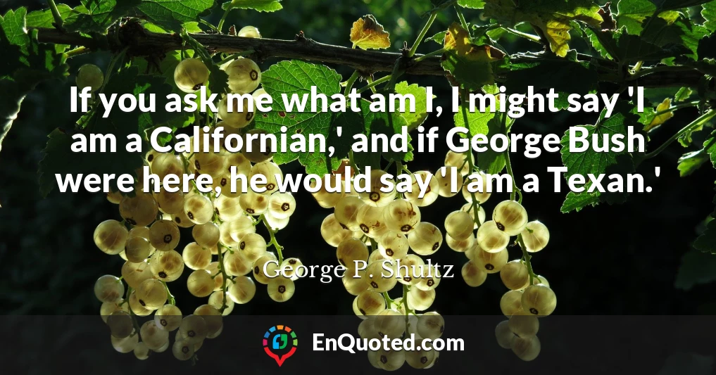 If you ask me what am I, I might say 'I am a Californian,' and if George Bush were here, he would say 'I am a Texan.'