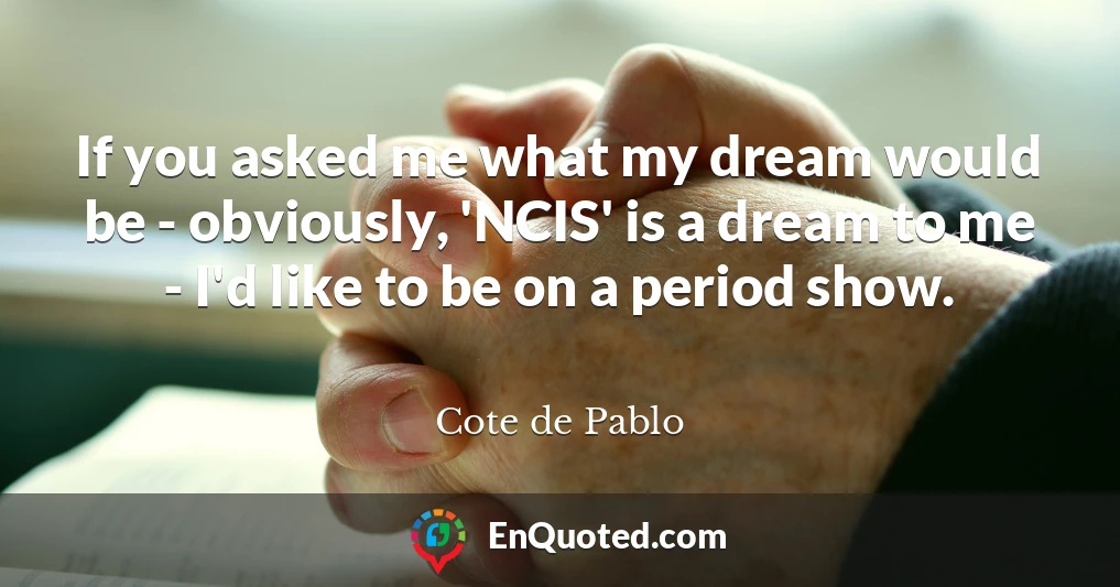 If you asked me what my dream would be - obviously, 'NCIS' is a dream to me - I'd like to be on a period show.