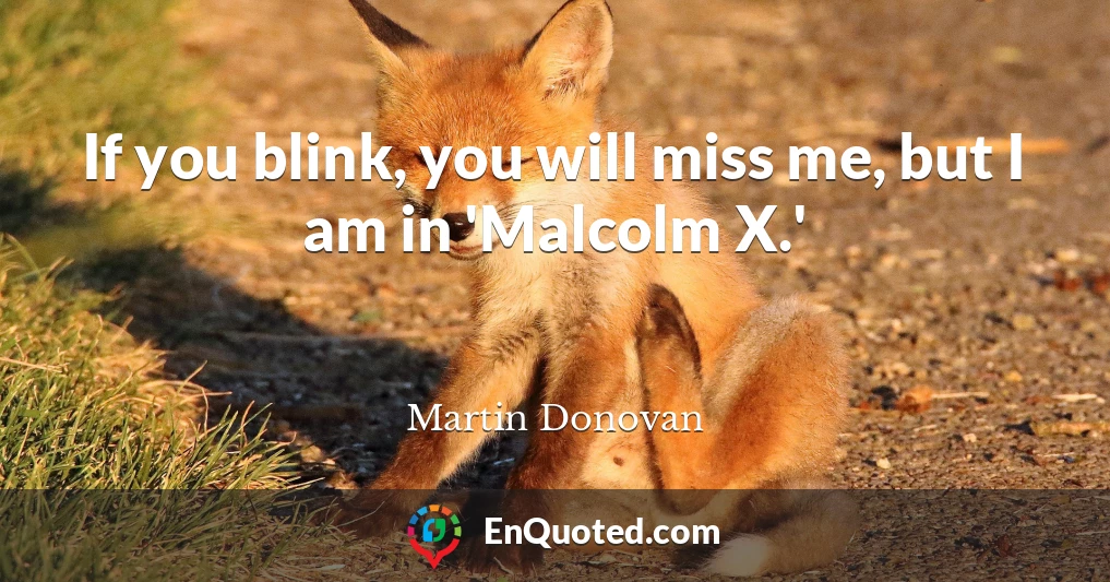 If you blink, you will miss me, but I am in 'Malcolm X.'
