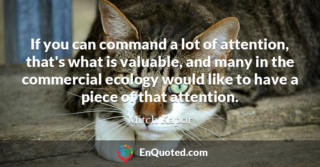 If you can command a lot of attention, that's what is valuable, and many in the commercial ecology would like to have a piece of that attention.