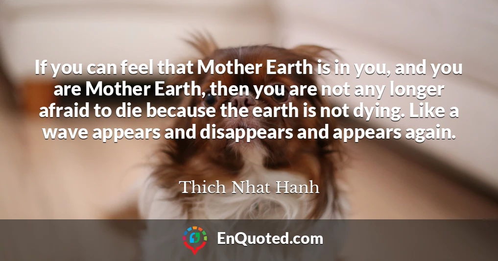 If you can feel that Mother Earth is in you, and you are Mother Earth, then you are not any longer afraid to die because the earth is not dying. Like a wave appears and disappears and appears again.