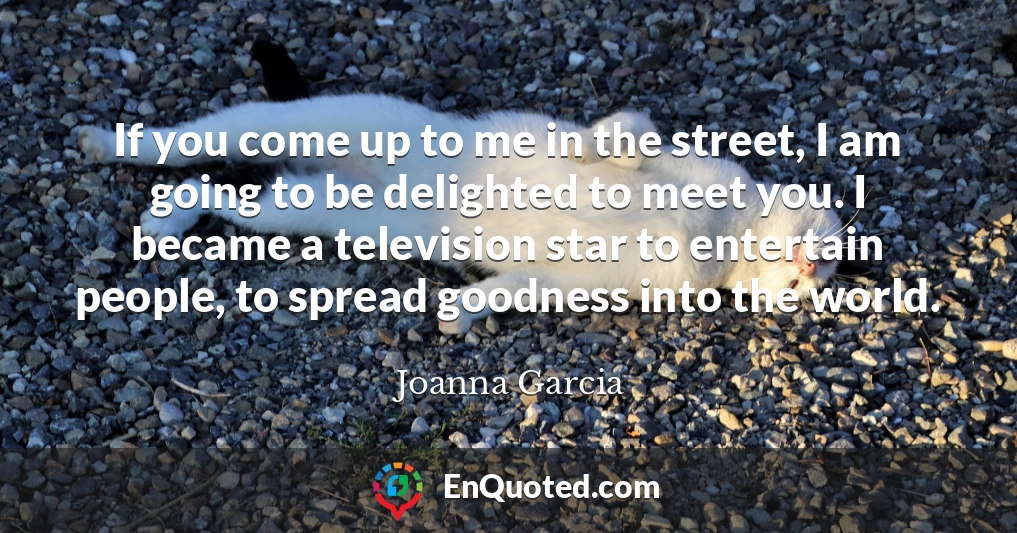 If you come up to me in the street, I am going to be delighted to meet you. I became a television star to entertain people, to spread goodness into the world.