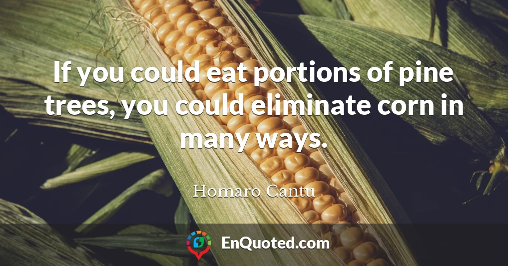 If you could eat portions of pine trees, you could eliminate corn in many ways.