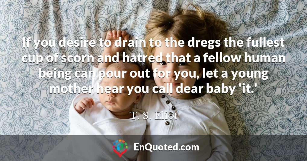 If you desire to drain to the dregs the fullest cup of scorn and hatred that a fellow human being can pour out for you, let a young mother hear you call dear baby 'it.'