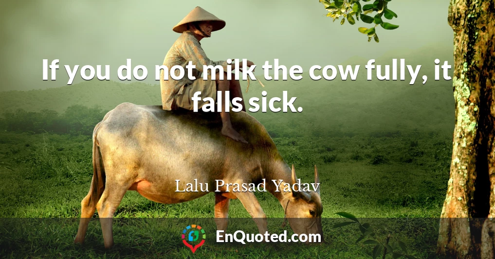 If you do not milk the cow fully, it falls sick.