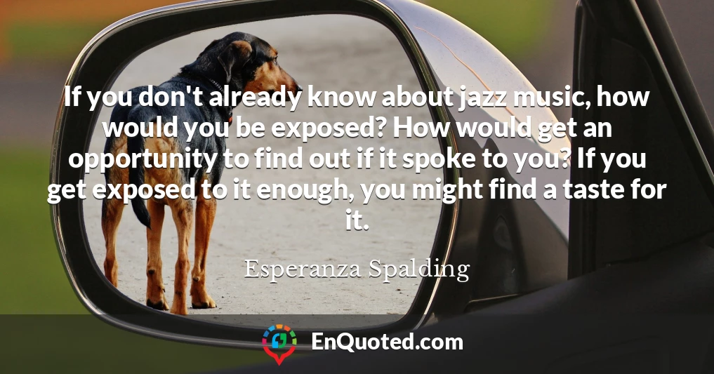 If you don't already know about jazz music, how would you be exposed? How would get an opportunity to find out if it spoke to you? If you get exposed to it enough, you might find a taste for it.