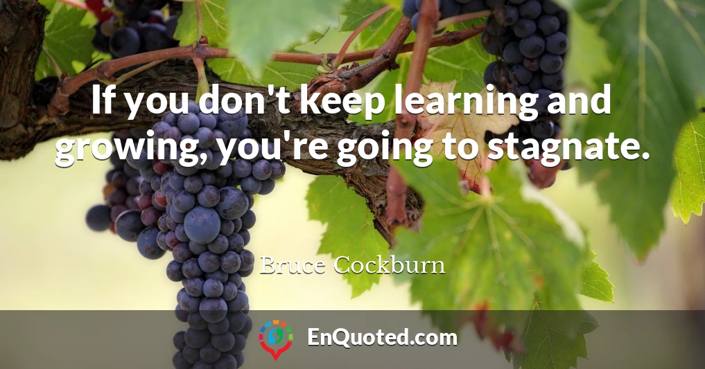 If you don't keep learning and growing, you're going to stagnate.