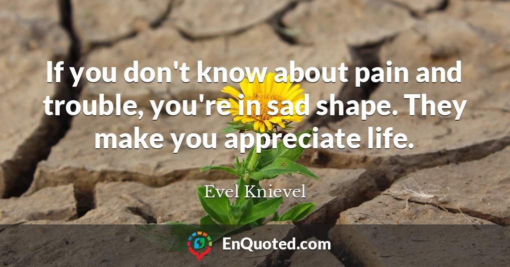 If you don't know about pain and trouble, you're in sad shape. They make you appreciate life.