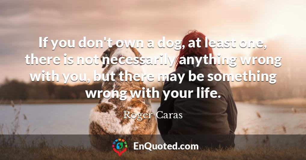 If you don't own a dog, at least one, there is not necessarily anything wrong with you, but there may be something wrong with your life.