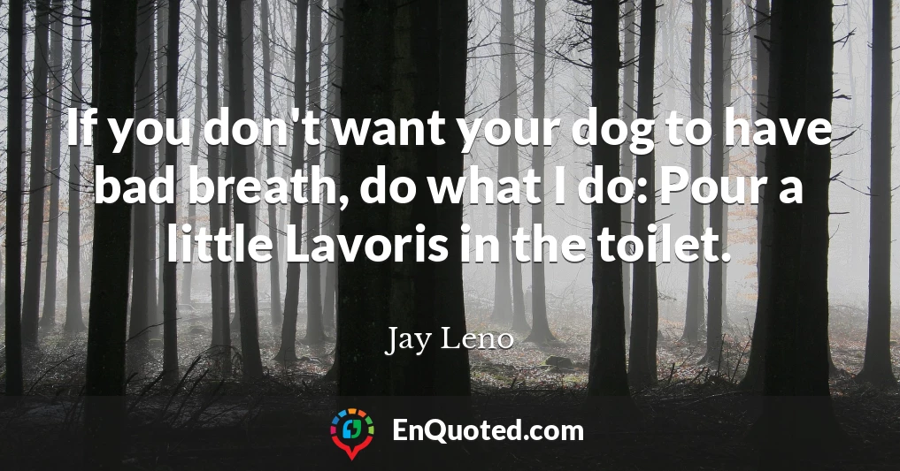If you don't want your dog to have bad breath, do what I do: Pour a little Lavoris in the toilet.