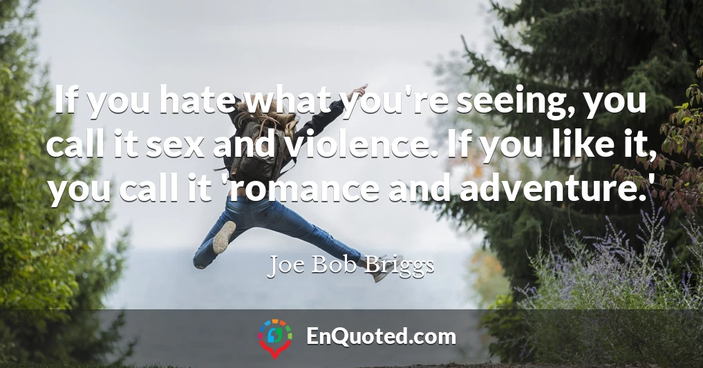 If you hate what you're seeing, you call it sex and violence. If you like it, you call it 'romance and adventure.'