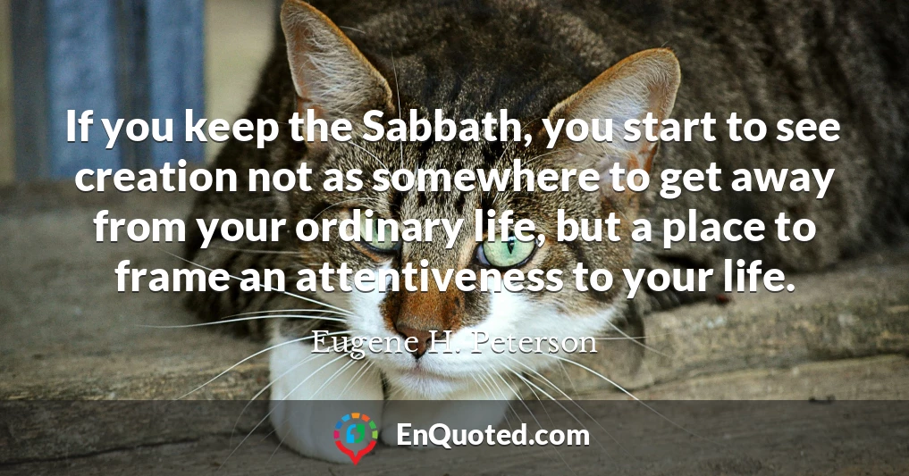 If you keep the Sabbath, you start to see creation not as somewhere to get away from your ordinary life, but a place to frame an attentiveness to your life.