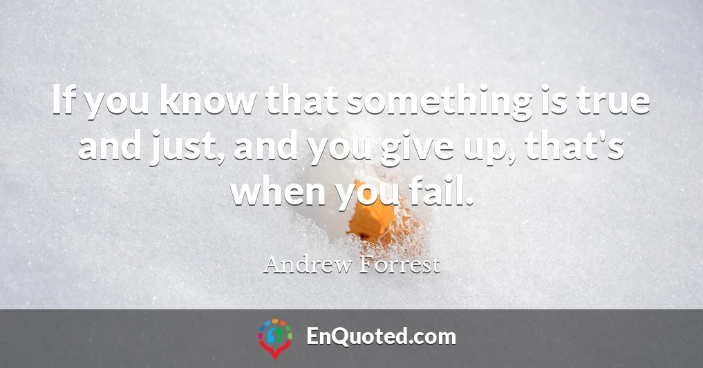 If you know that something is true and just, and you give up, that's when you fail.