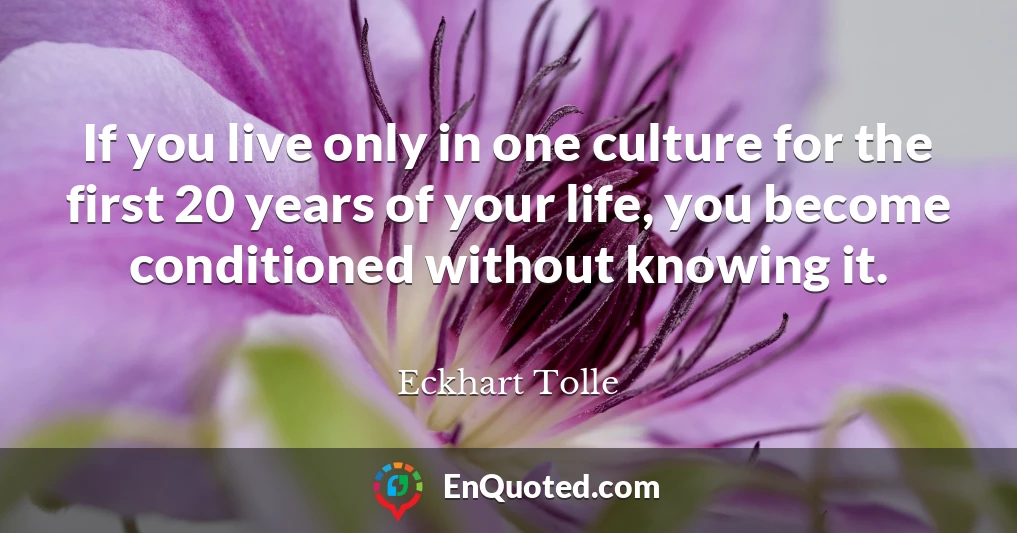 If you live only in one culture for the first 20 years of your life, you become conditioned without knowing it.