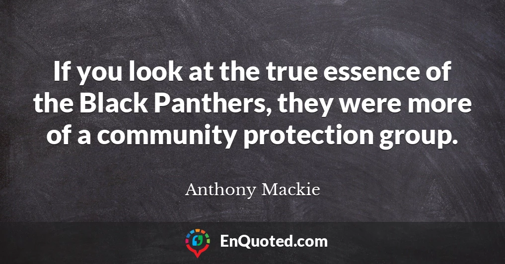 If you look at the true essence of the Black Panthers, they were more of a community protection group.