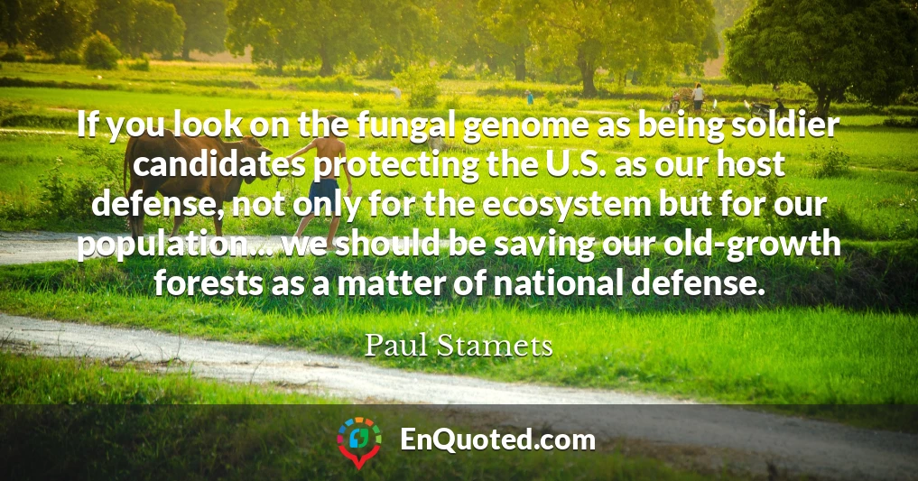 If you look on the fungal genome as being soldier candidates protecting the U.S. as our host defense, not only for the ecosystem but for our population... we should be saving our old-growth forests as a matter of national defense.