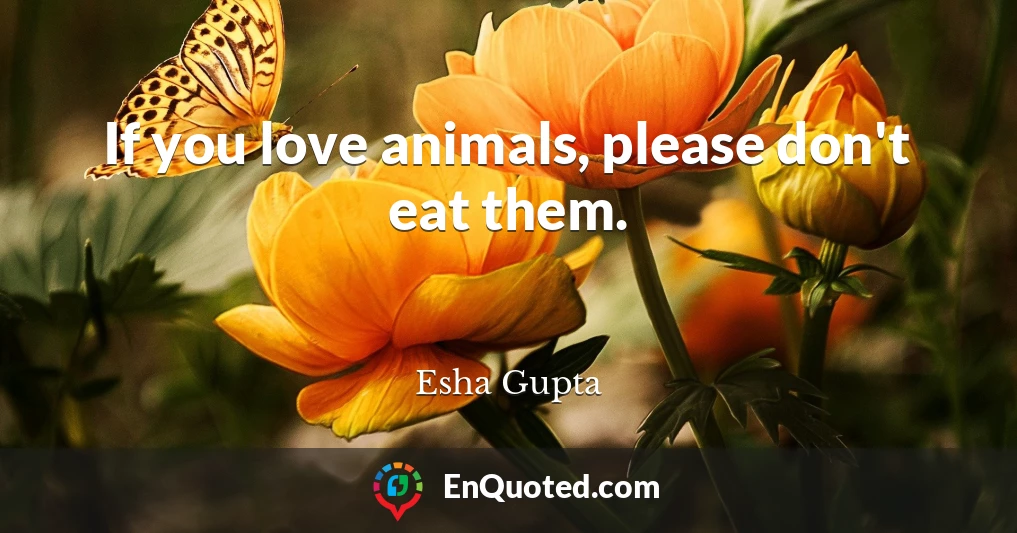 If you love animals, please don't eat them.