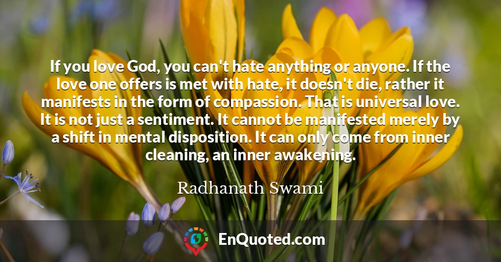 If you love God, you can't hate anything or anyone. If the love one offers is met with hate, it doesn't die, rather it manifests in the form of compassion. That is universal love. It is not just a sentiment. It cannot be manifested merely by a shift in mental disposition. It can only come from inner cleaning, an inner awakening.