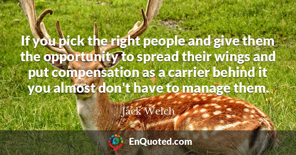 If you pick the right people and give them the opportunity to spread their wings and put compensation as a carrier behind it you almost don't have to manage them.