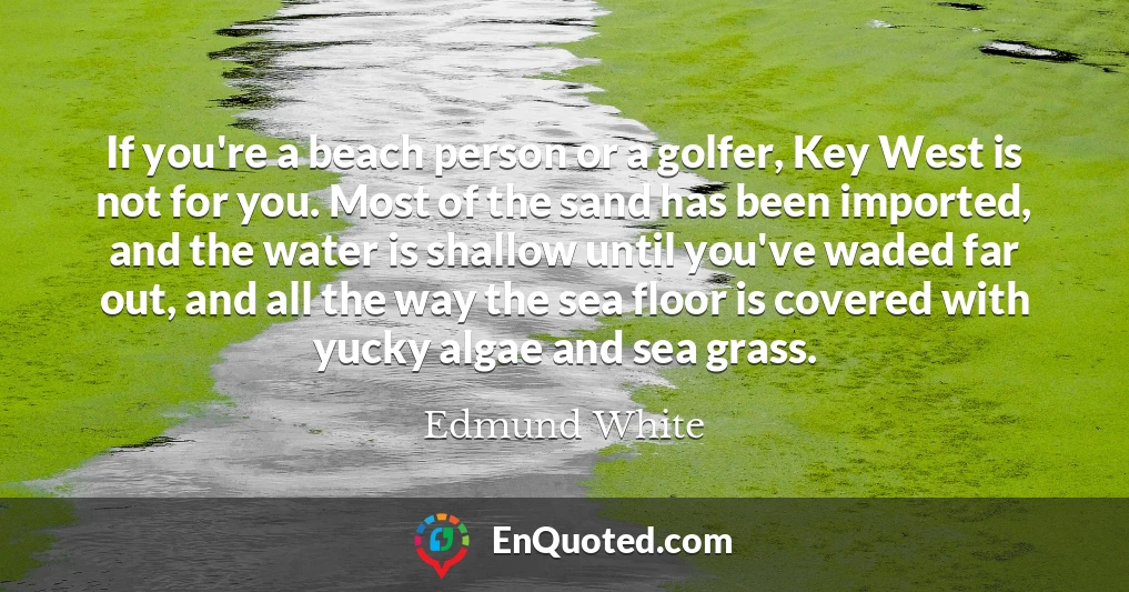 If you're a beach person or a golfer, Key West is not for you. Most of the sand has been imported, and the water is shallow until you've waded far out, and all the way the sea floor is covered with yucky algae and sea grass.