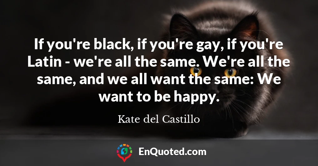 If you're black, if you're gay, if you're Latin - we're all the same. We're all the same, and we all want the same: We want to be happy.