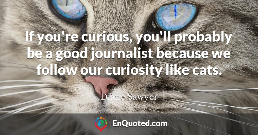 If you're curious, you'll probably be a good journalist because we follow our curiosity like cats.