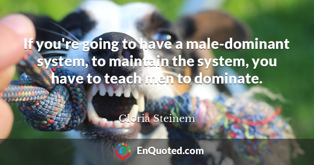 If you're going to have a male-dominant system, to maintain the system, you have to teach men to dominate.