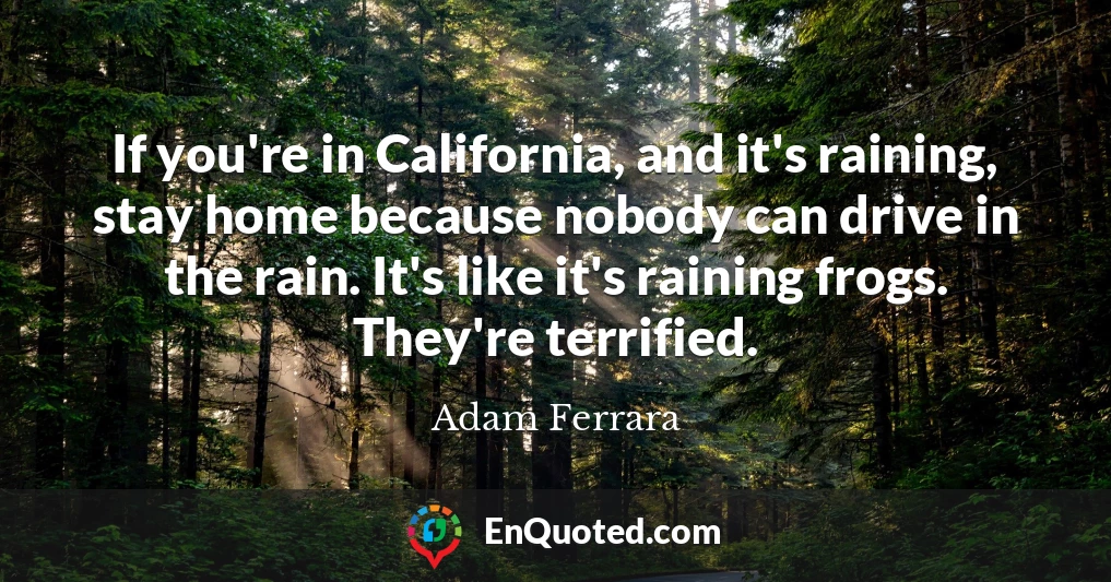 If you're in California, and it's raining, stay home because nobody can drive in the rain. It's like it's raining frogs. They're terrified.