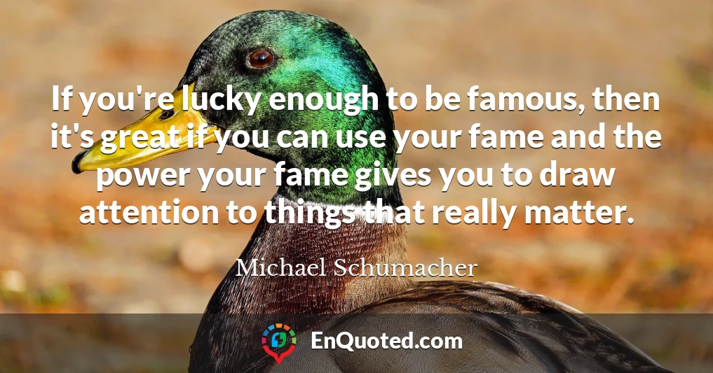 If you're lucky enough to be famous, then it's great if you can use your fame and the power your fame gives you to draw attention to things that really matter.