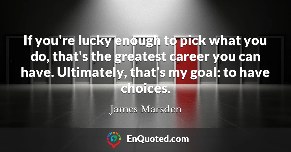 If you're lucky enough to pick what you do, that's the greatest career you can have. Ultimately, that's my goal: to have choices.