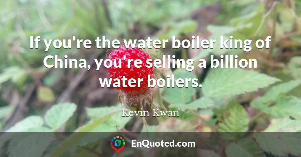 If you're the water boiler king of China, you're selling a billion water boilers.