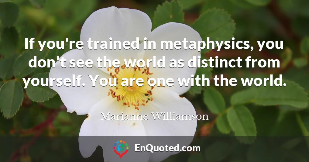If you're trained in metaphysics, you don't see the world as distinct from yourself. You are one with the world.