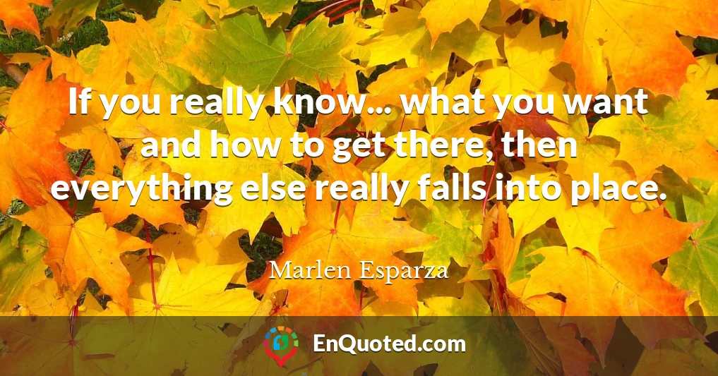 If you really know... what you want and how to get there, then everything else really falls into place.
