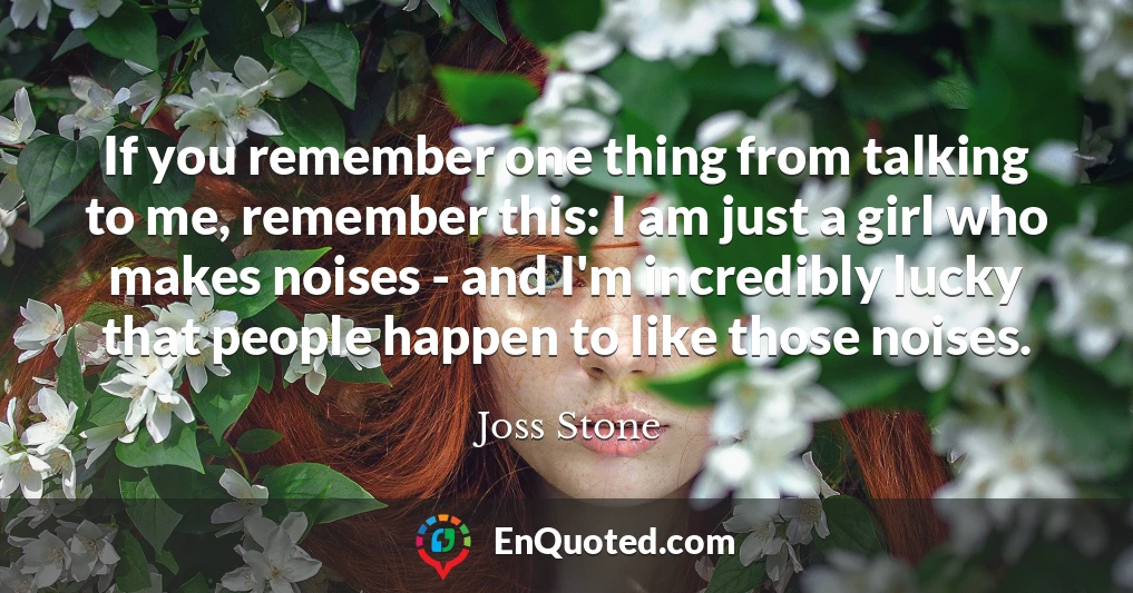 If you remember one thing from talking to me, remember this: I am just a girl who makes noises - and I'm incredibly lucky that people happen to like those noises.