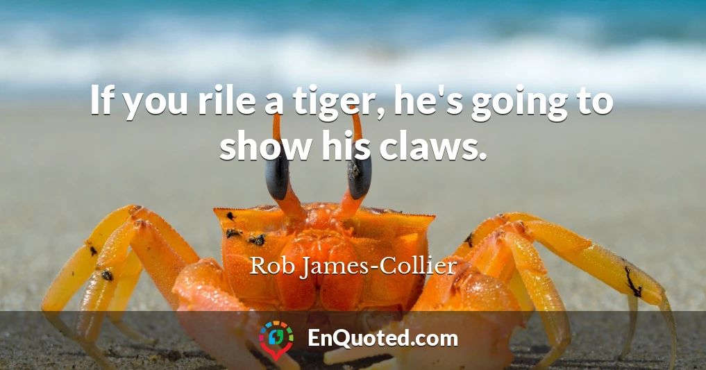 If you rile a tiger, he's going to show his claws.