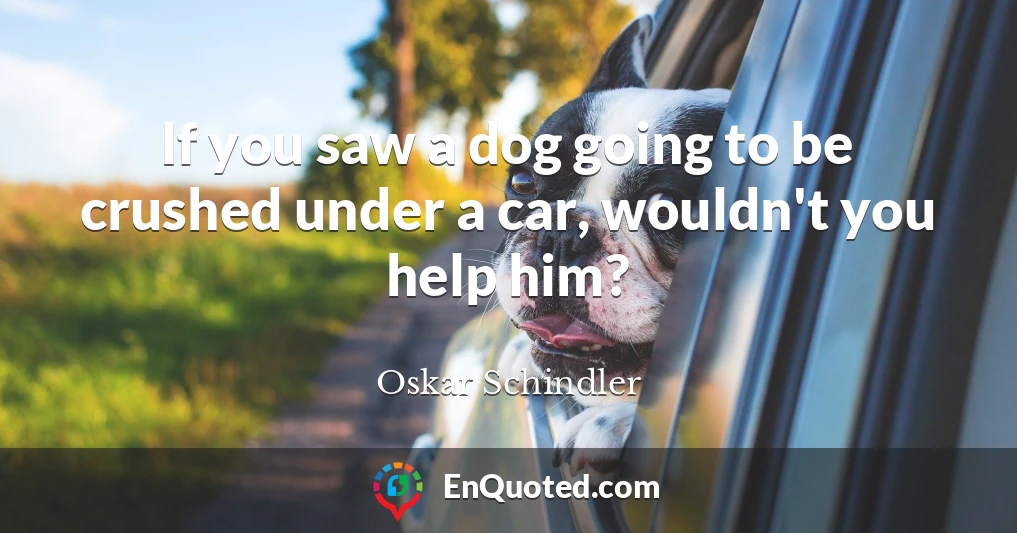 If you saw a dog going to be crushed under a car, wouldn't you help him?