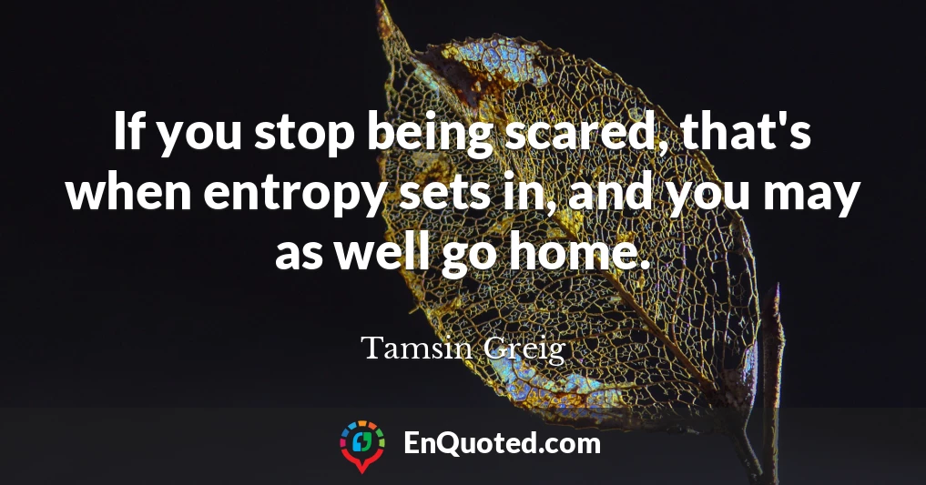 If you stop being scared, that's when entropy sets in, and you may as well go home.