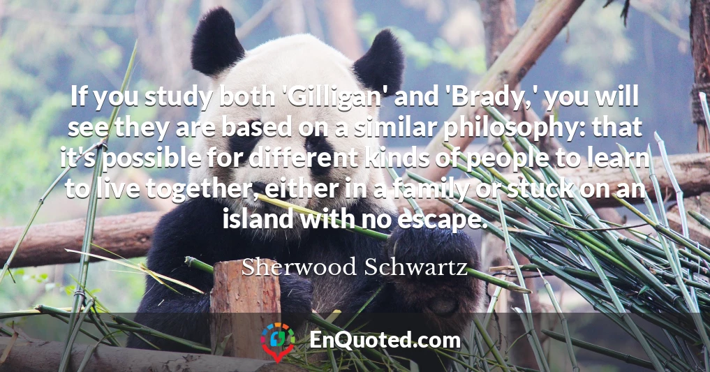If you study both 'Gilligan' and 'Brady,' you will see they are based on a similar philosophy: that it's possible for different kinds of people to learn to live together, either in a family or stuck on an island with no escape.