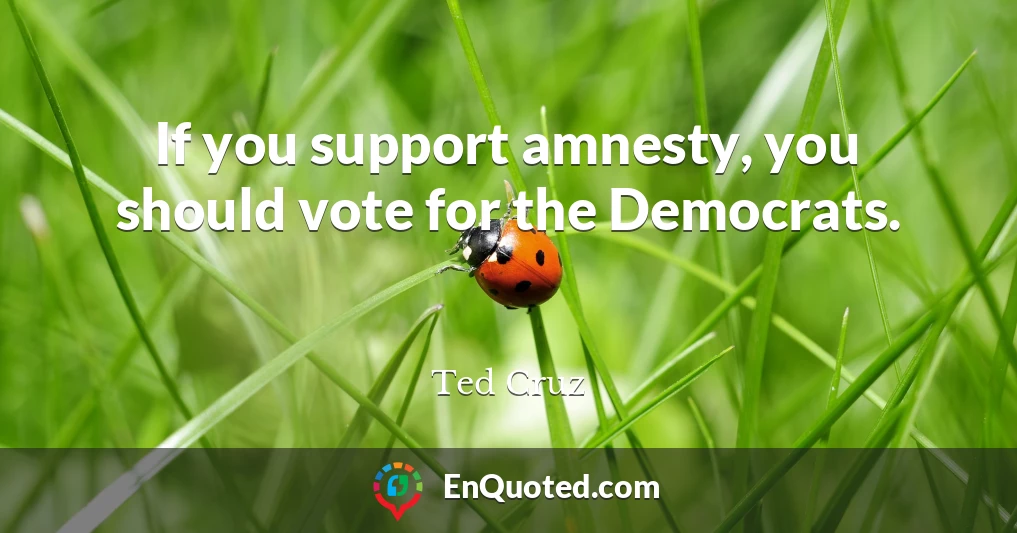 If you support amnesty, you should vote for the Democrats.