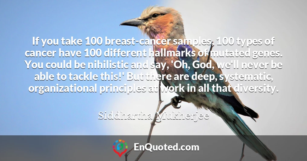 If you take 100 breast-cancer samples, 100 types of cancer have 100 different hallmarks of mutated genes. You could be nihilistic and say, 'Oh, God, we'll never be able to tackle this!' But there are deep, systematic, organizational principles at work in all that diversity.