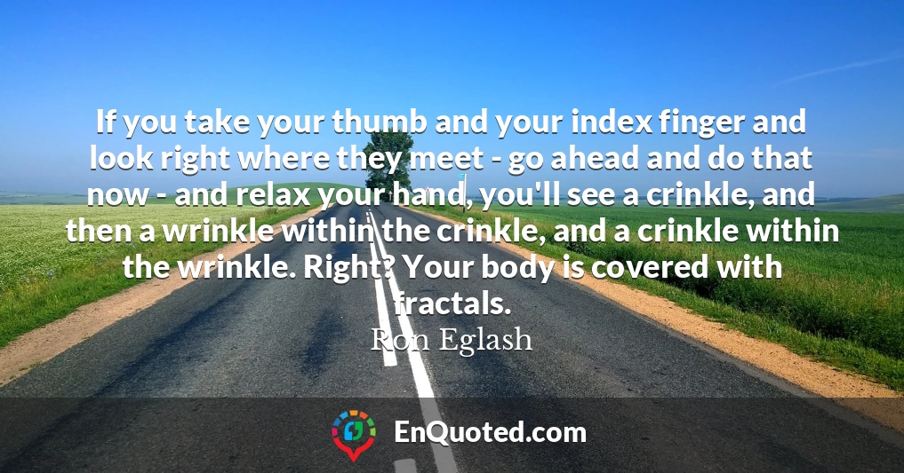 If you take your thumb and your index finger and look right where they meet - go ahead and do that now - and relax your hand, you'll see a crinkle, and then a wrinkle within the crinkle, and a crinkle within the wrinkle. Right? Your body is covered with fractals.