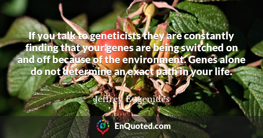 If you talk to geneticists they are constantly finding that your genes are being switched on and off because of the environment. Genes alone do not determine an exact path in your life.